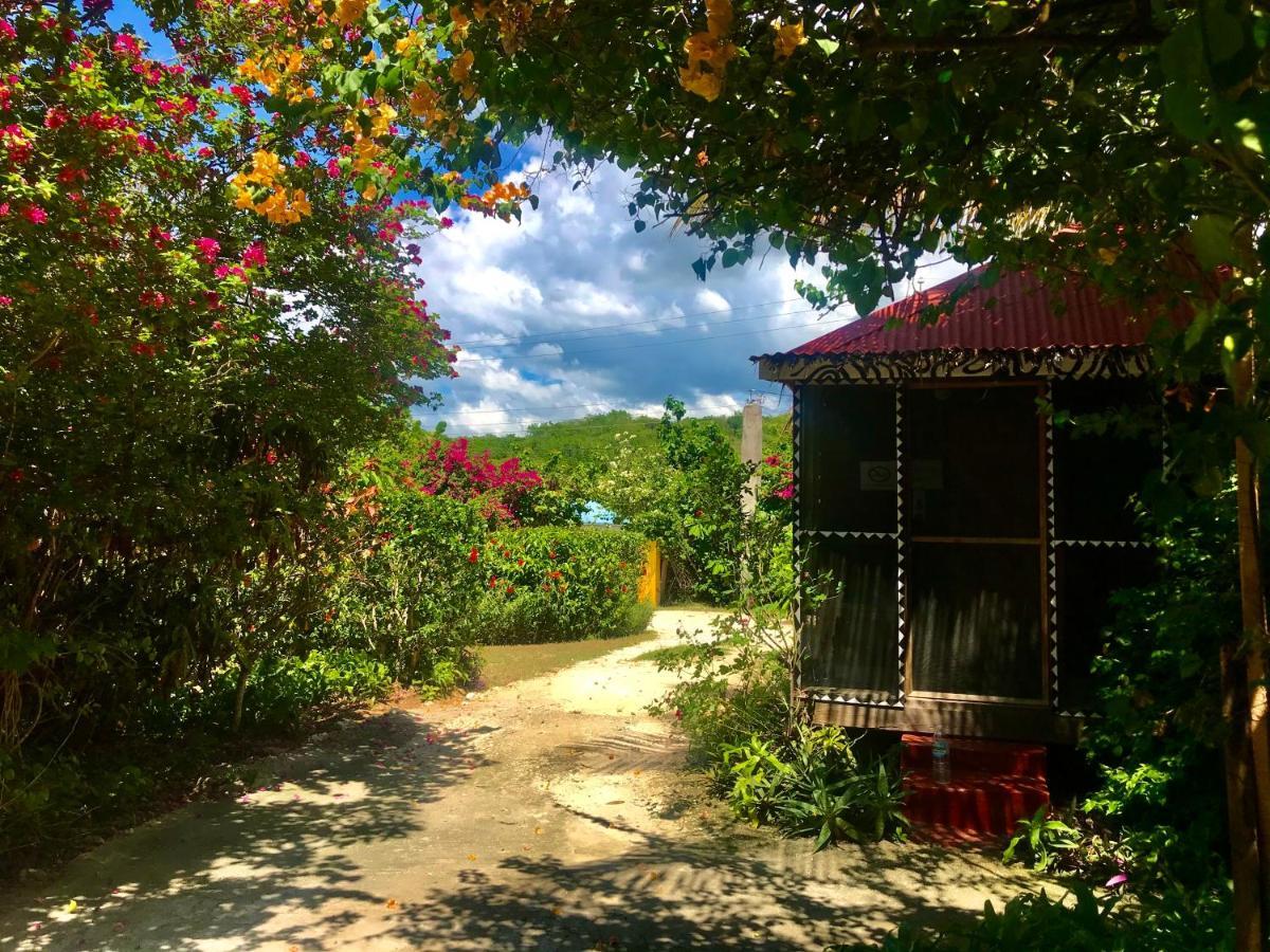 Villa Moringa Ingadi à Treasure Beach Extérieur photo