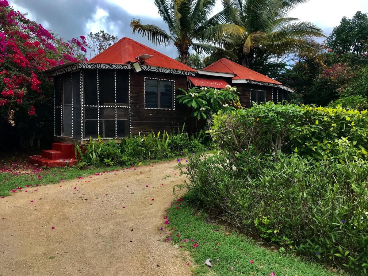 Villa Moringa Ingadi à Treasure Beach Extérieur photo